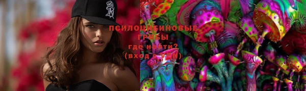 спиды Беломорск