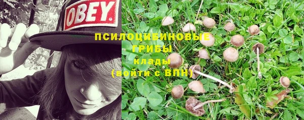 ешки Ростов
